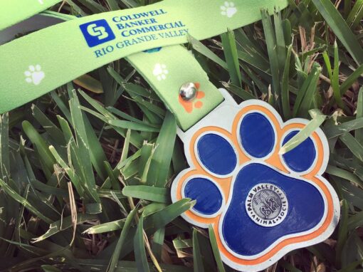 Give A Bark 5K Walk/Run at Fireman’s Park!