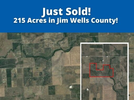 Just Sold! 215 Acres in Jim Wells County